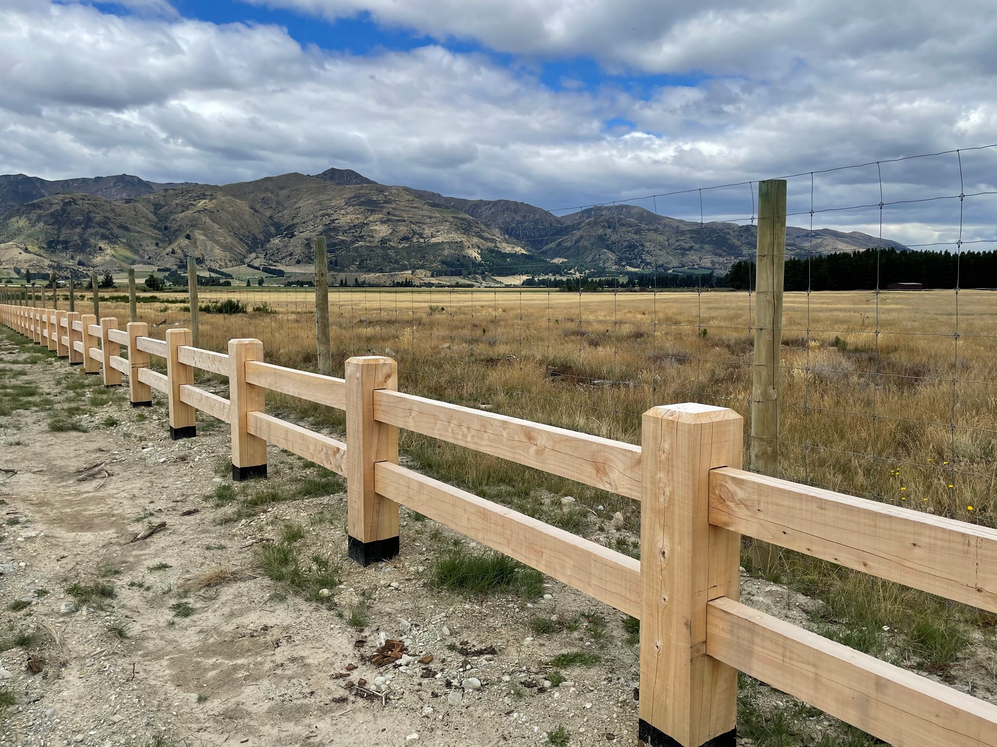 Macrocarpa Timber, Firewood, Post & Rail Fencing BidBud