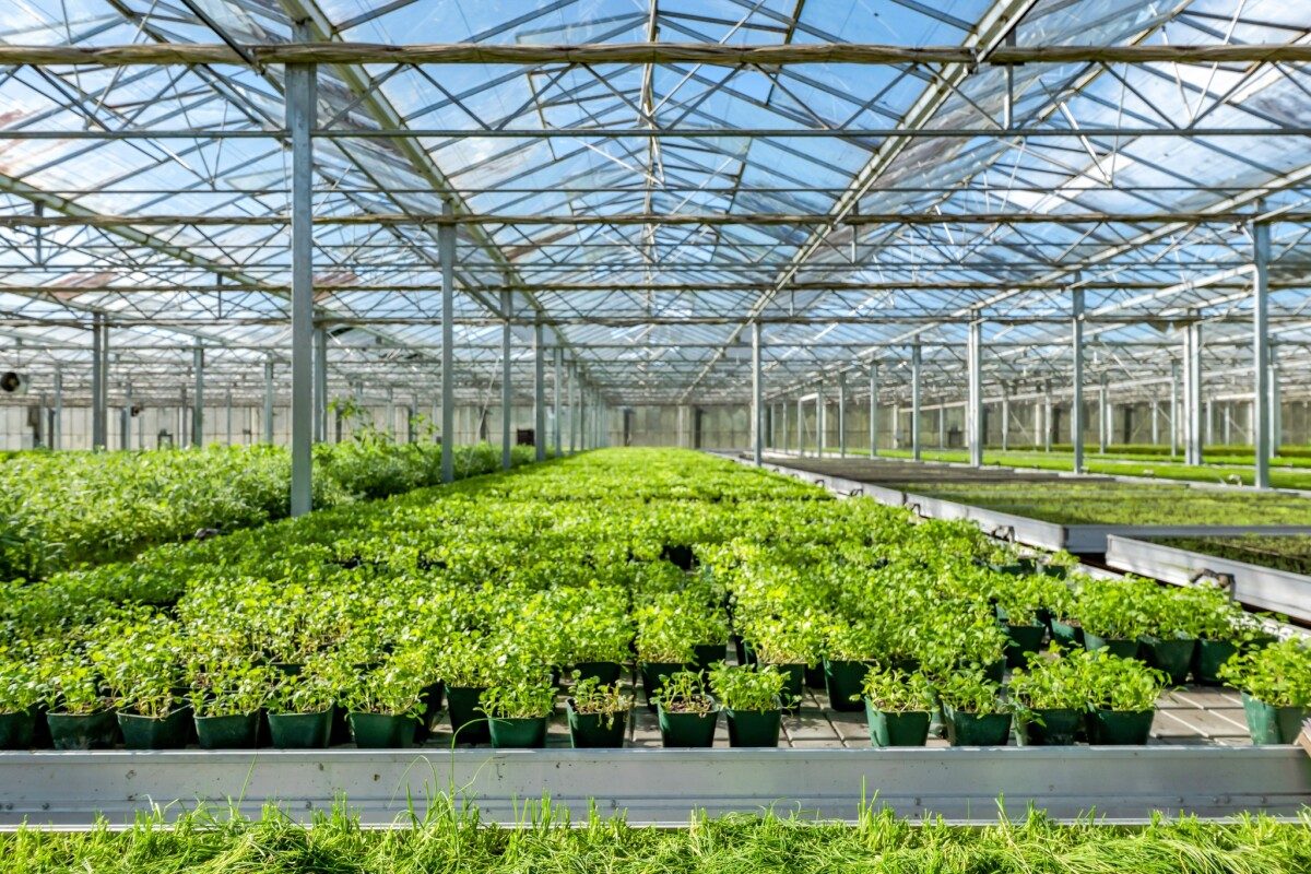 2.6 hectare Horticulture Going Concern — slide 7