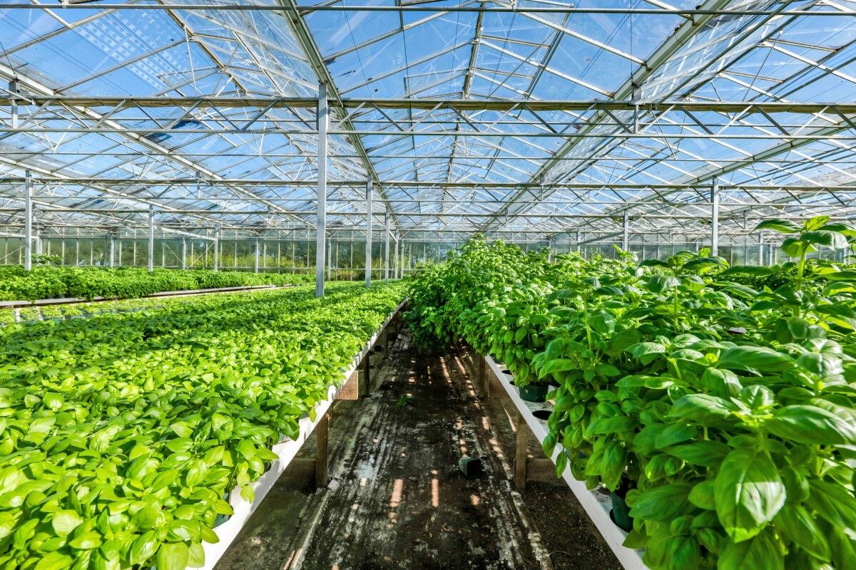 2.6 hectare Horticulture Going Concern — slide 8