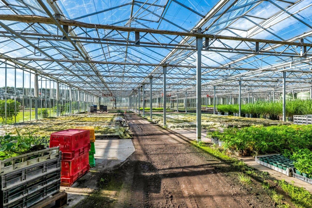 2.6 hectare Horticulture Going Concern — slide 9