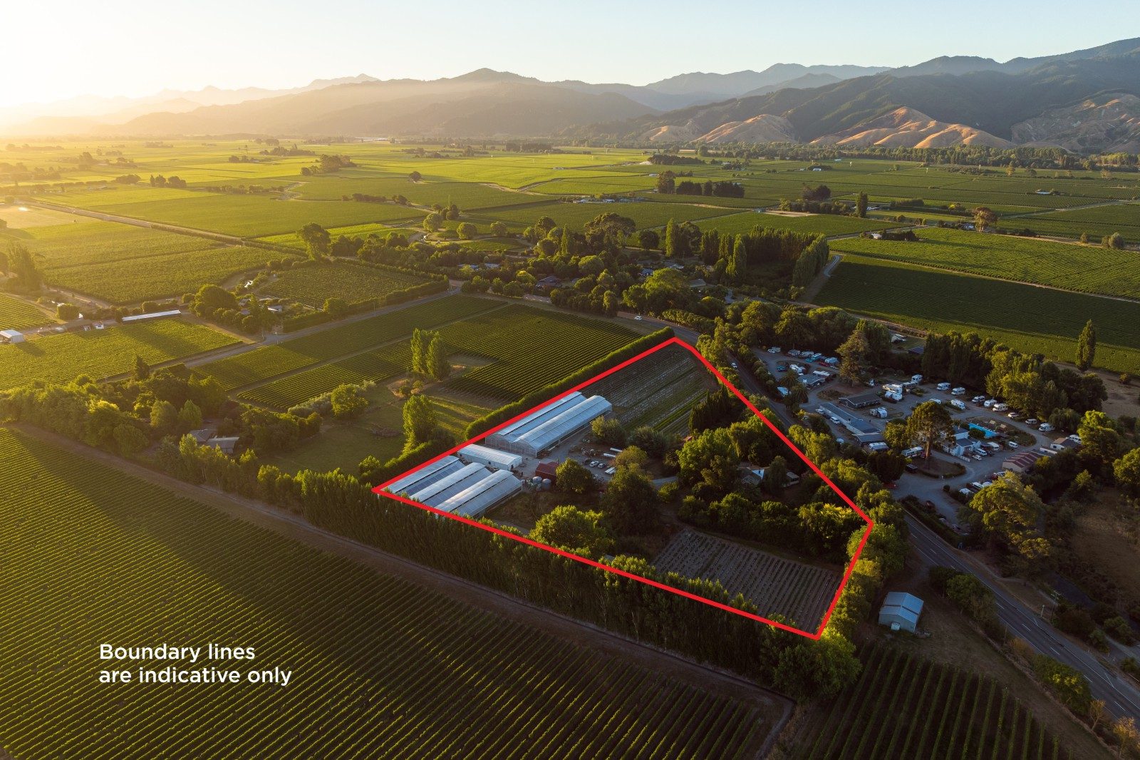Established hydroponic business on 2.9ha — slide 28
