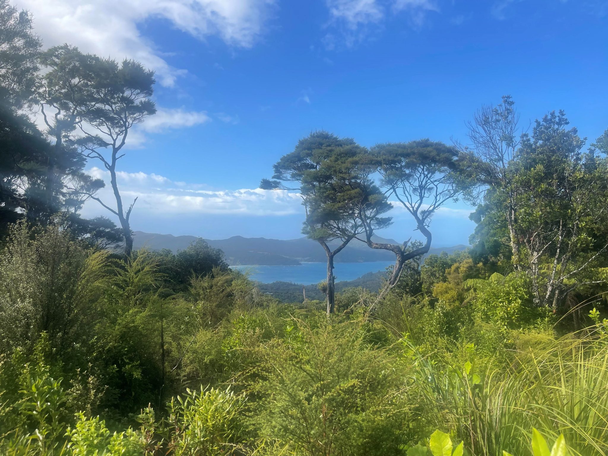 Sustainability Island Living at its Best & Views! — slide 20