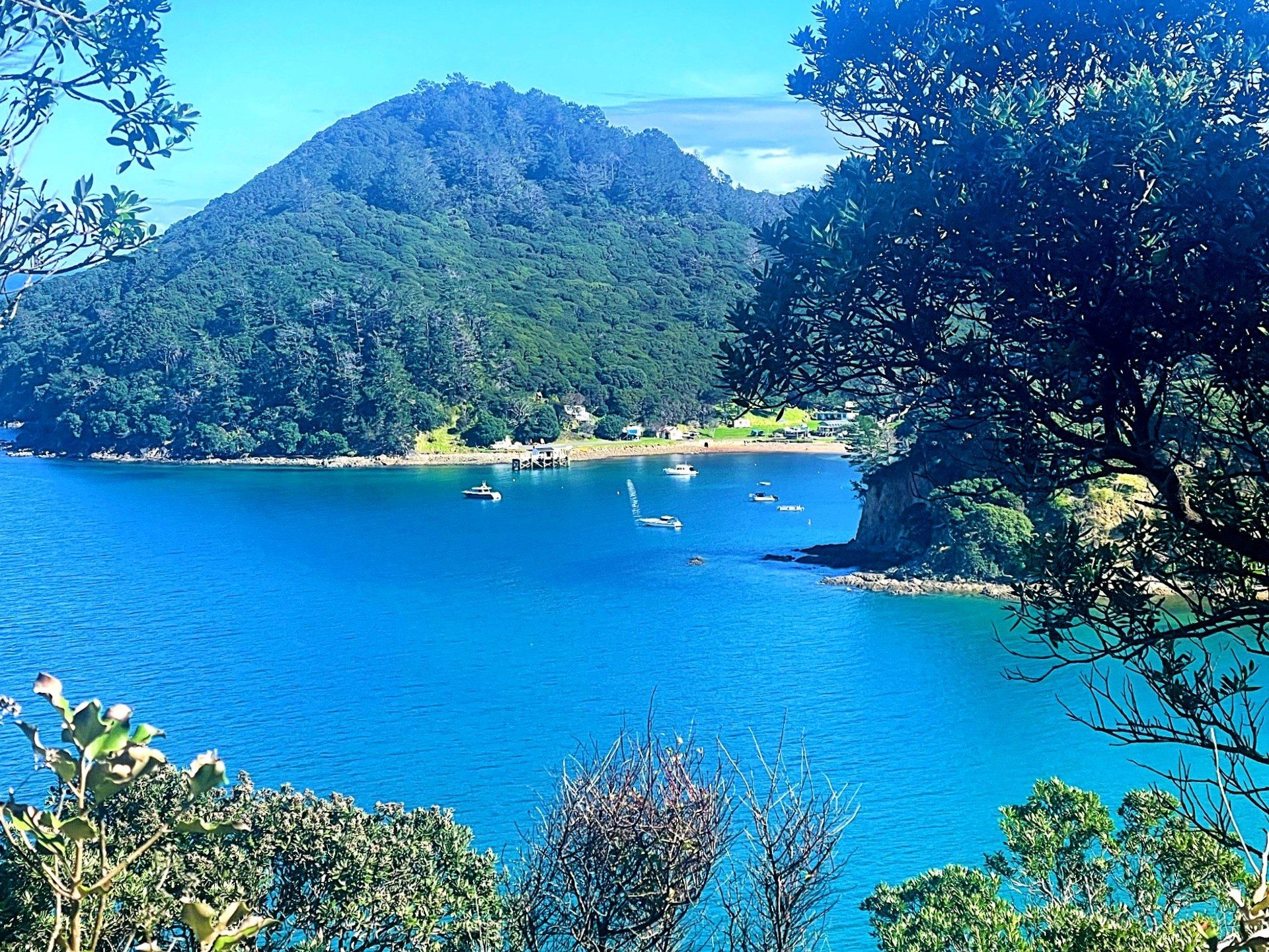 Big Views, Big Land - Updated Price on 4ha Block! — slide 7