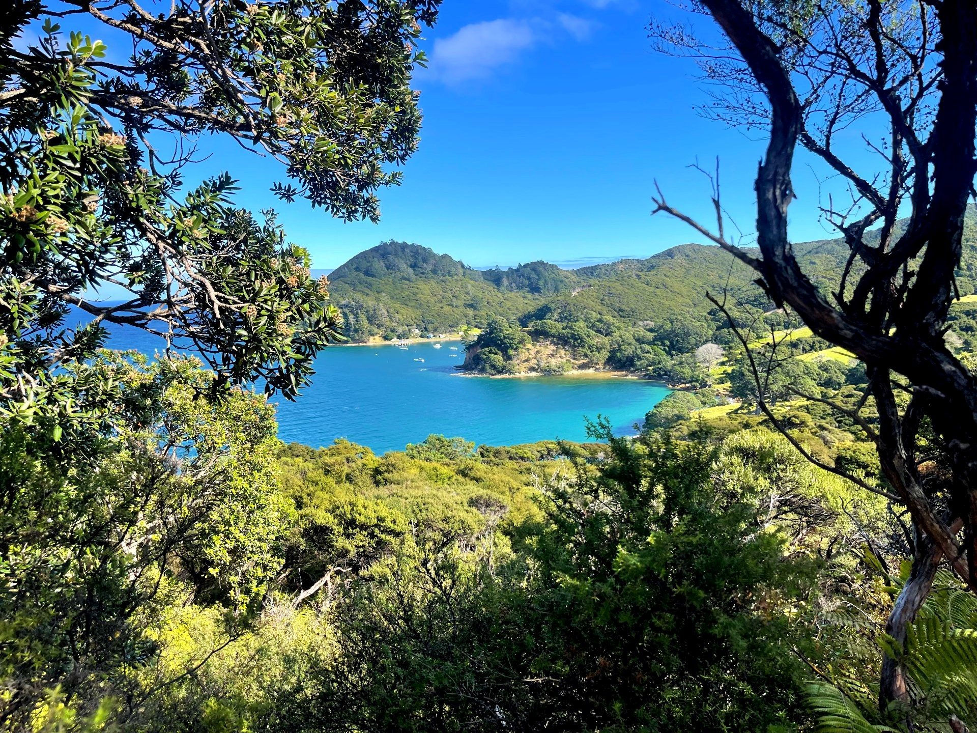 Big Views, Big Land - Updated Price on 4ha Block! — slide 2
