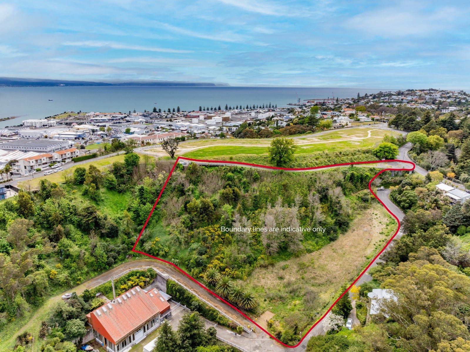 Napier Hillside Gem – Panoramic Views -... — slide 2