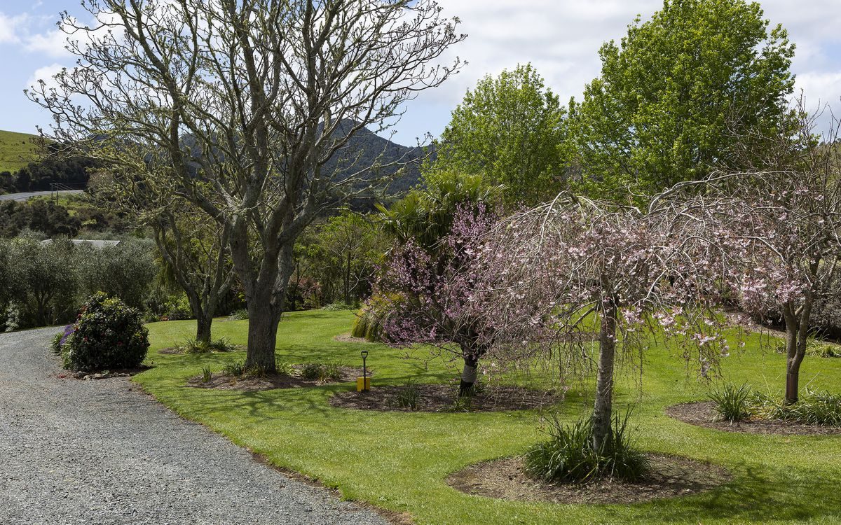 Sun-Filled Elegance by the Golf Course — slide 2