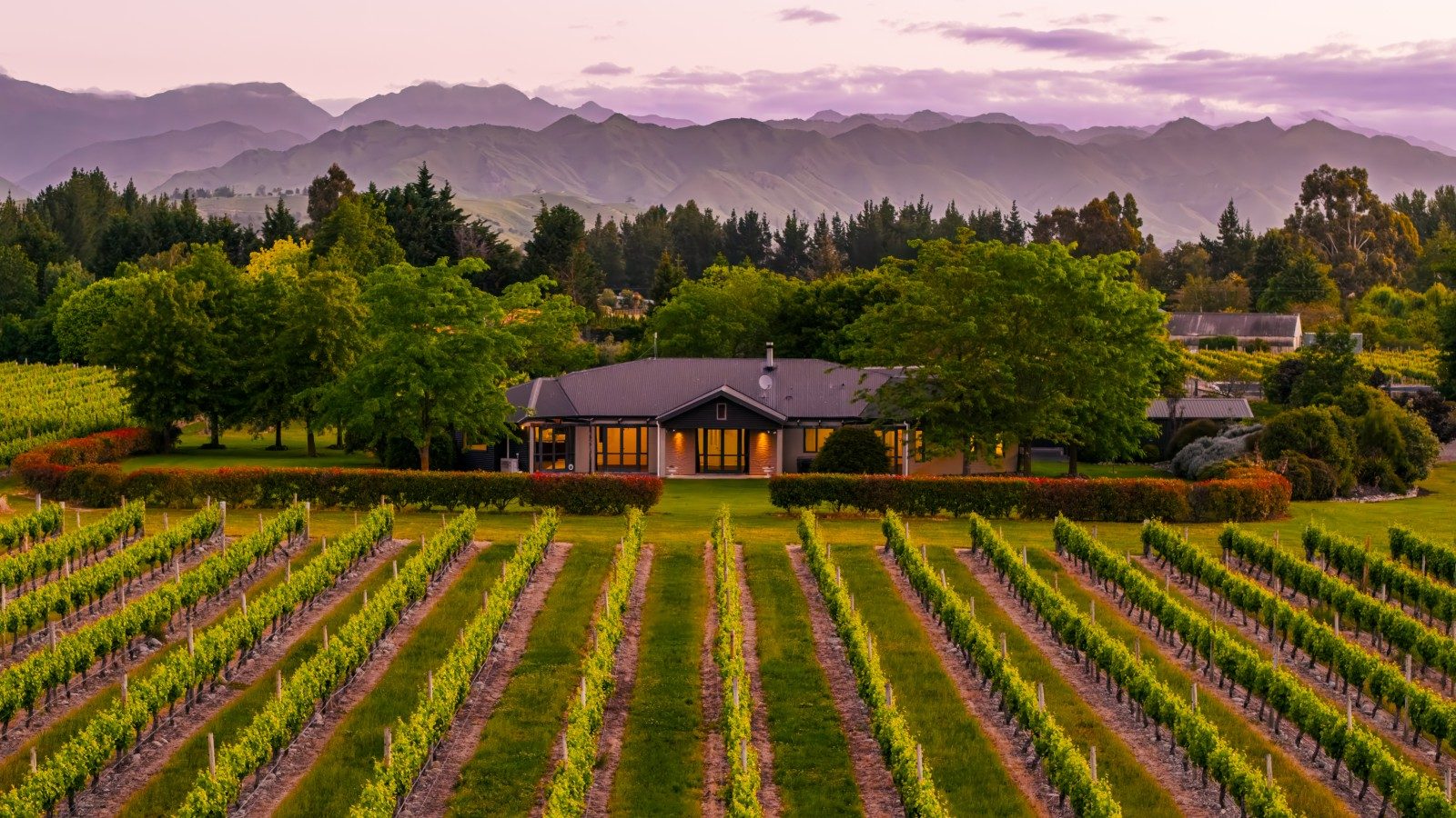 Must sell - Secure a vineyard at lifestyle values — slide 1