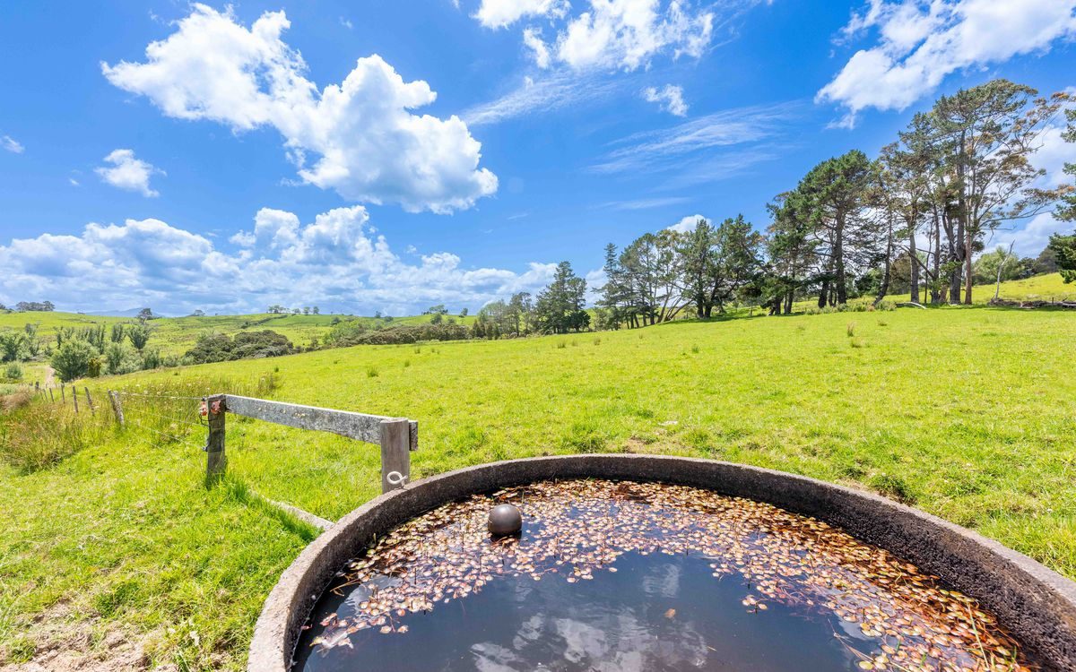 A Rare Opportunity in the Hokianga — slide 33