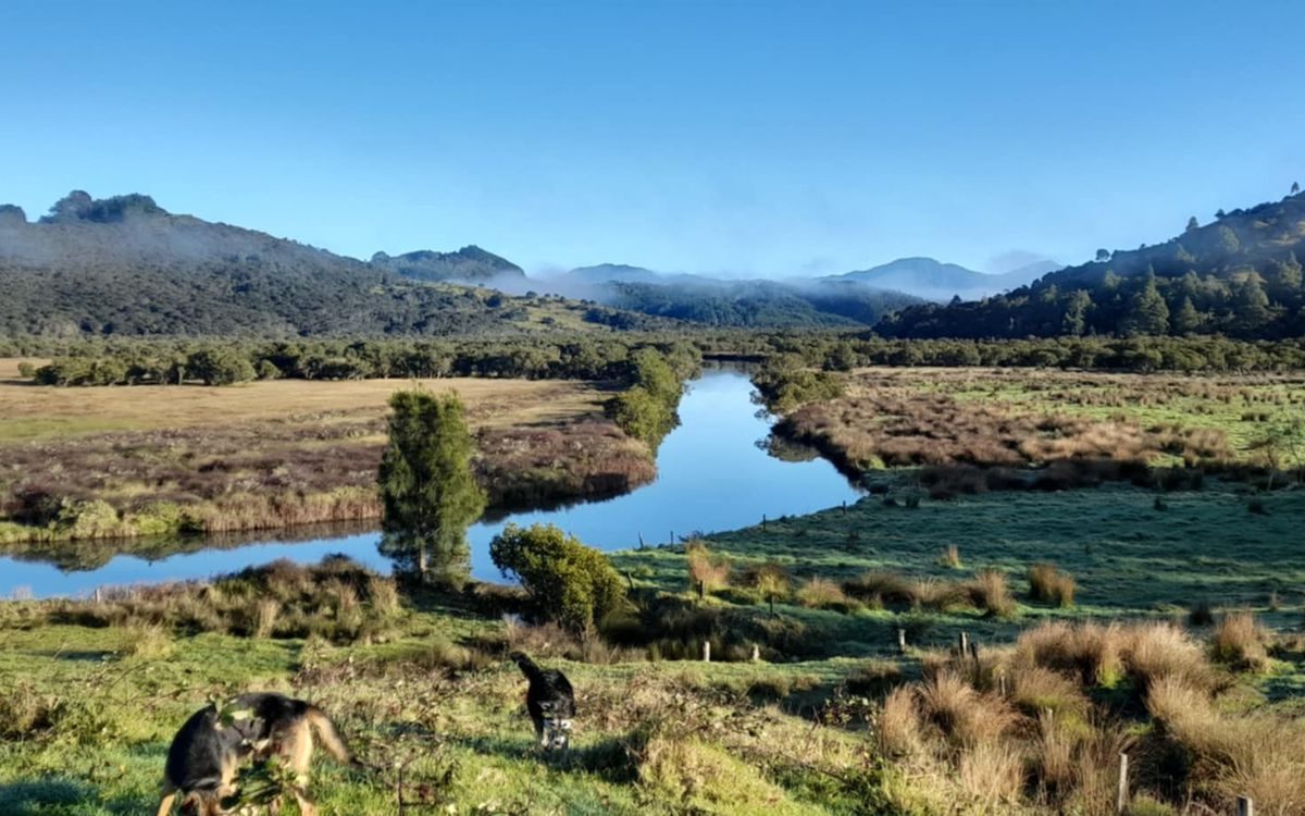 A Rare Opportunity in the Hokianga — slide 2