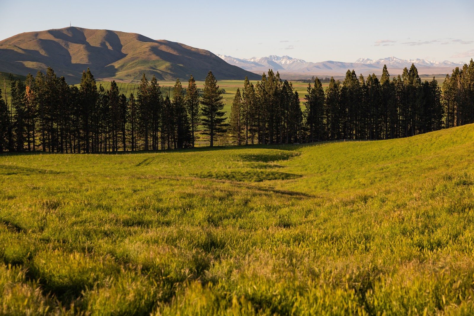 Mackenzie Basin Splendour — slide 21