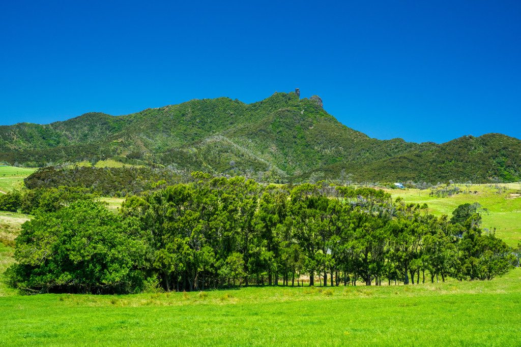 Mountains & Sea Views - Covenant Free — slide 2