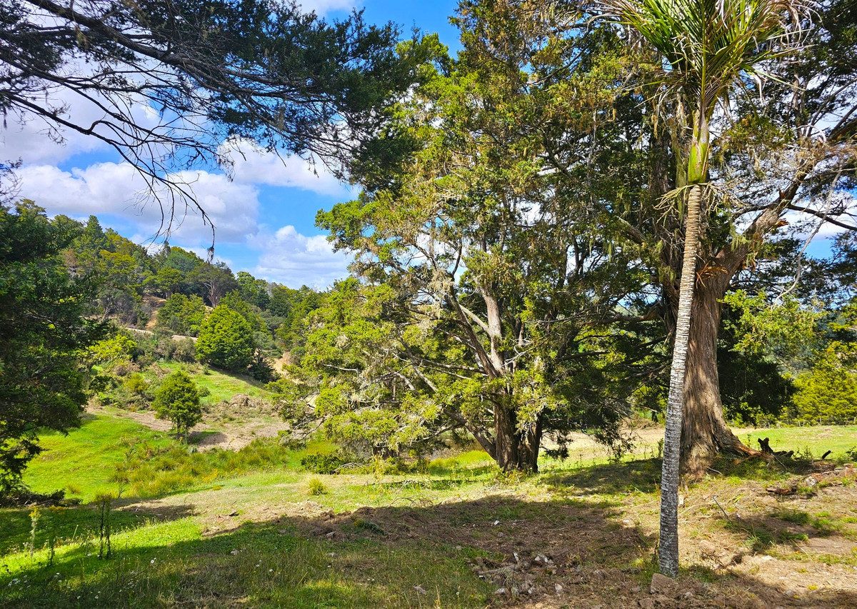 Picturesque 1.23ha Lifestyle Block – Stunning Ru — slide 2