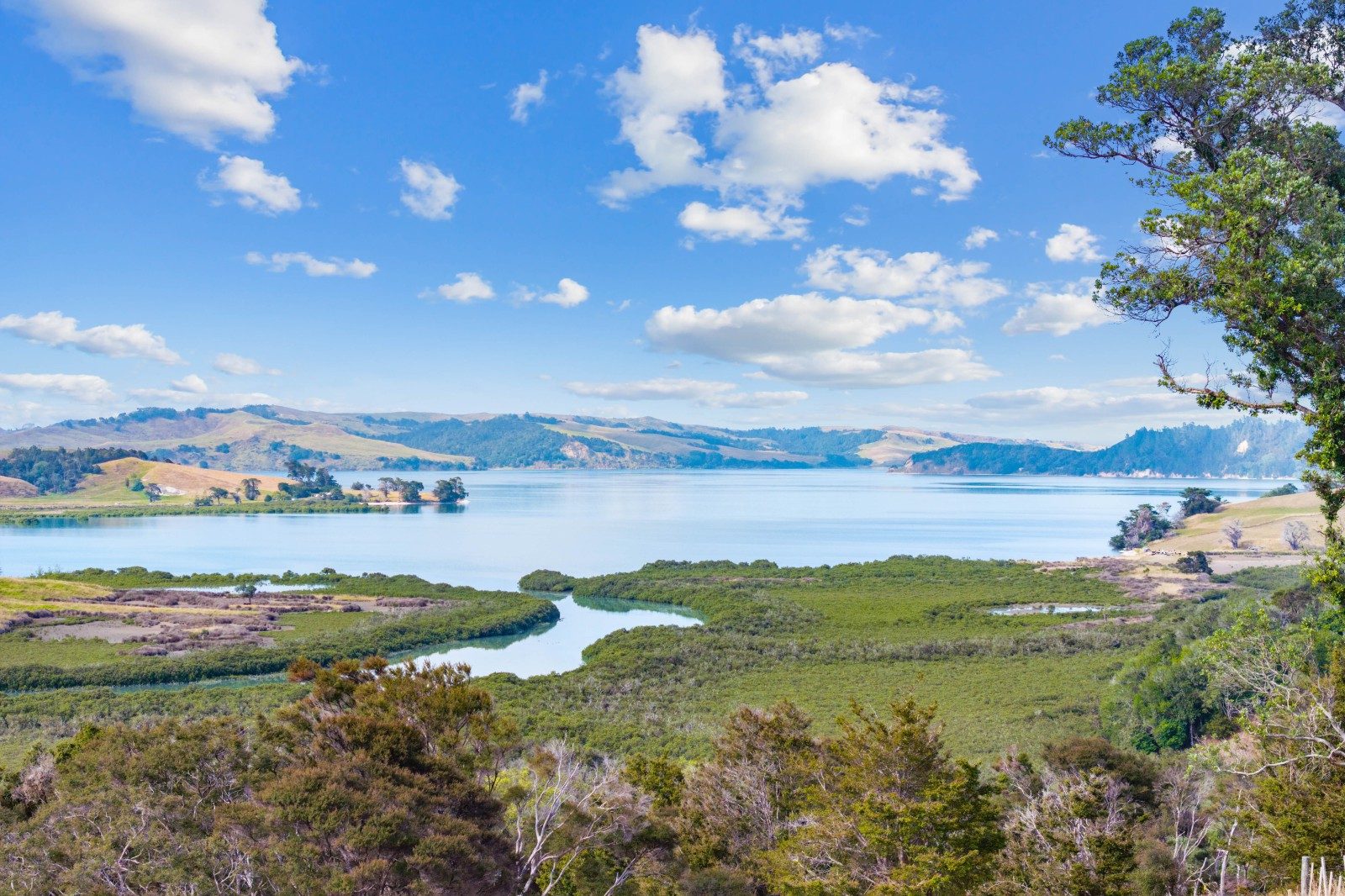 Kaipara gem - peace, privacy and views — slide 7