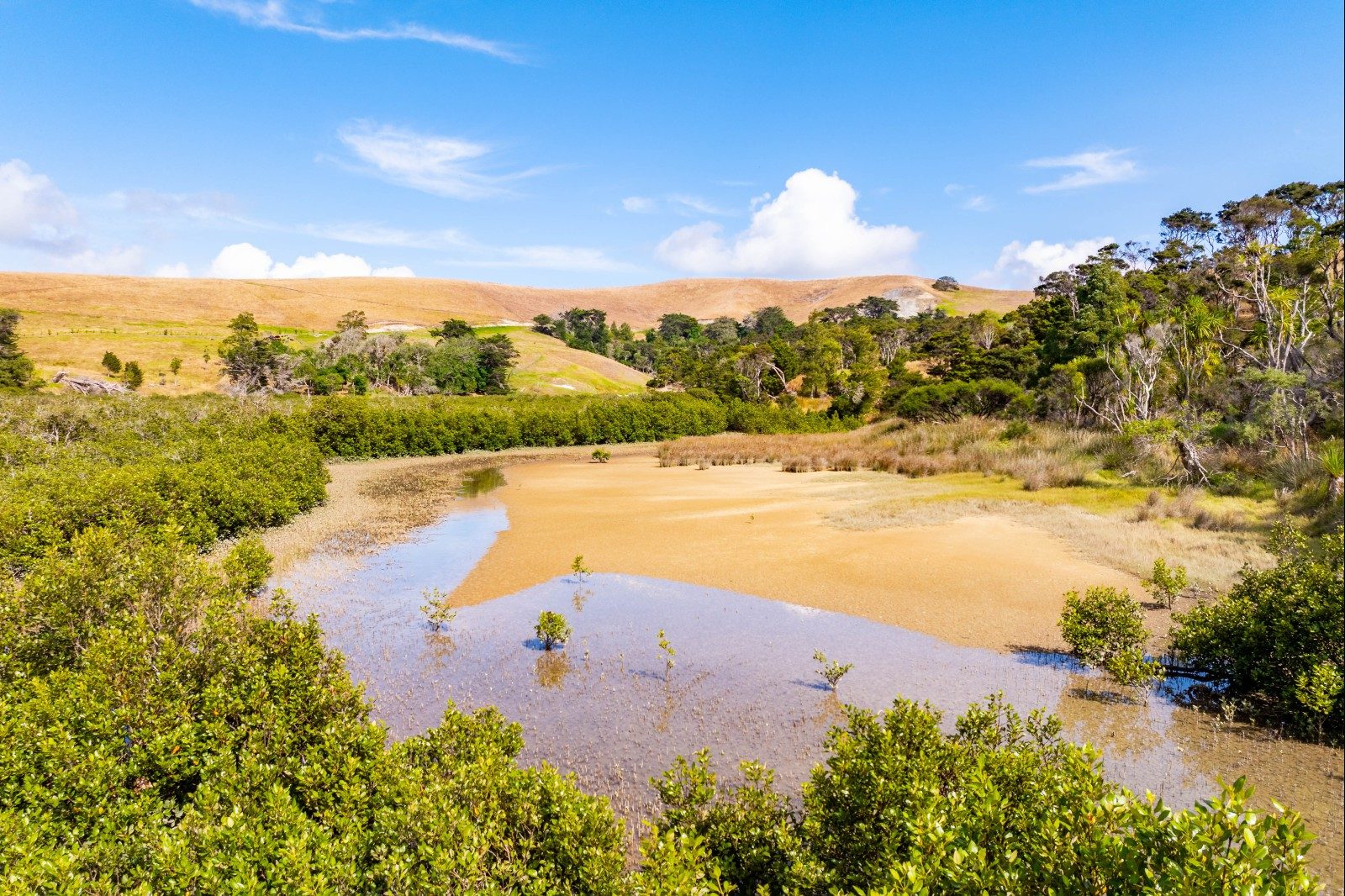 Kaipara gem - peace, privacy and views — slide 9