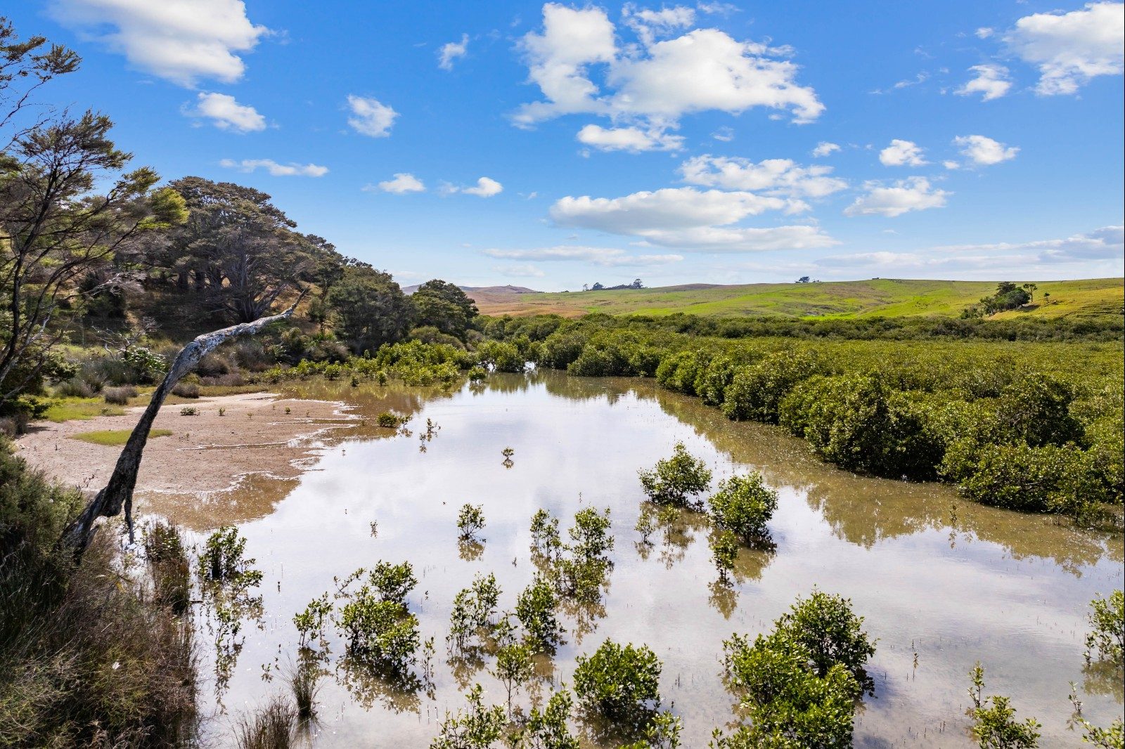 Kaipara gem - peace, privacy and views — slide 12