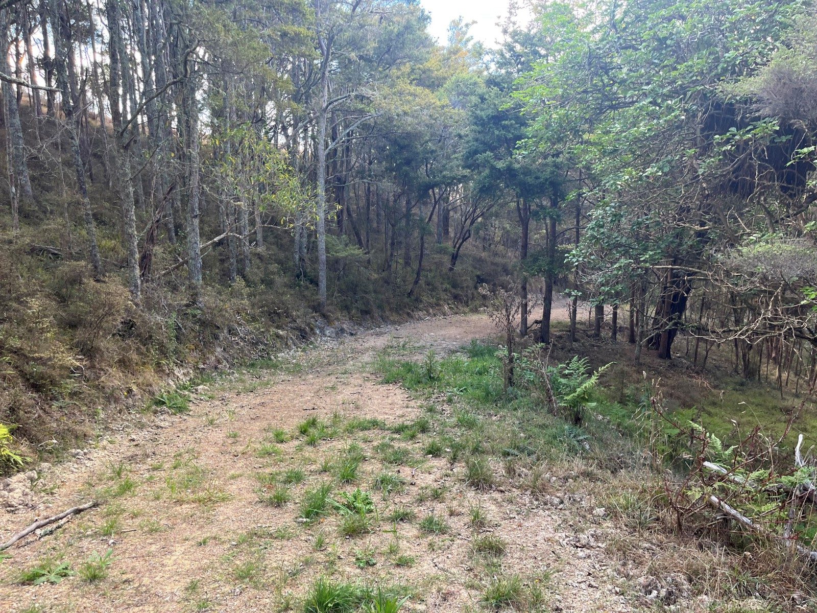 Kaipara gem - peace, privacy and views — slide 16