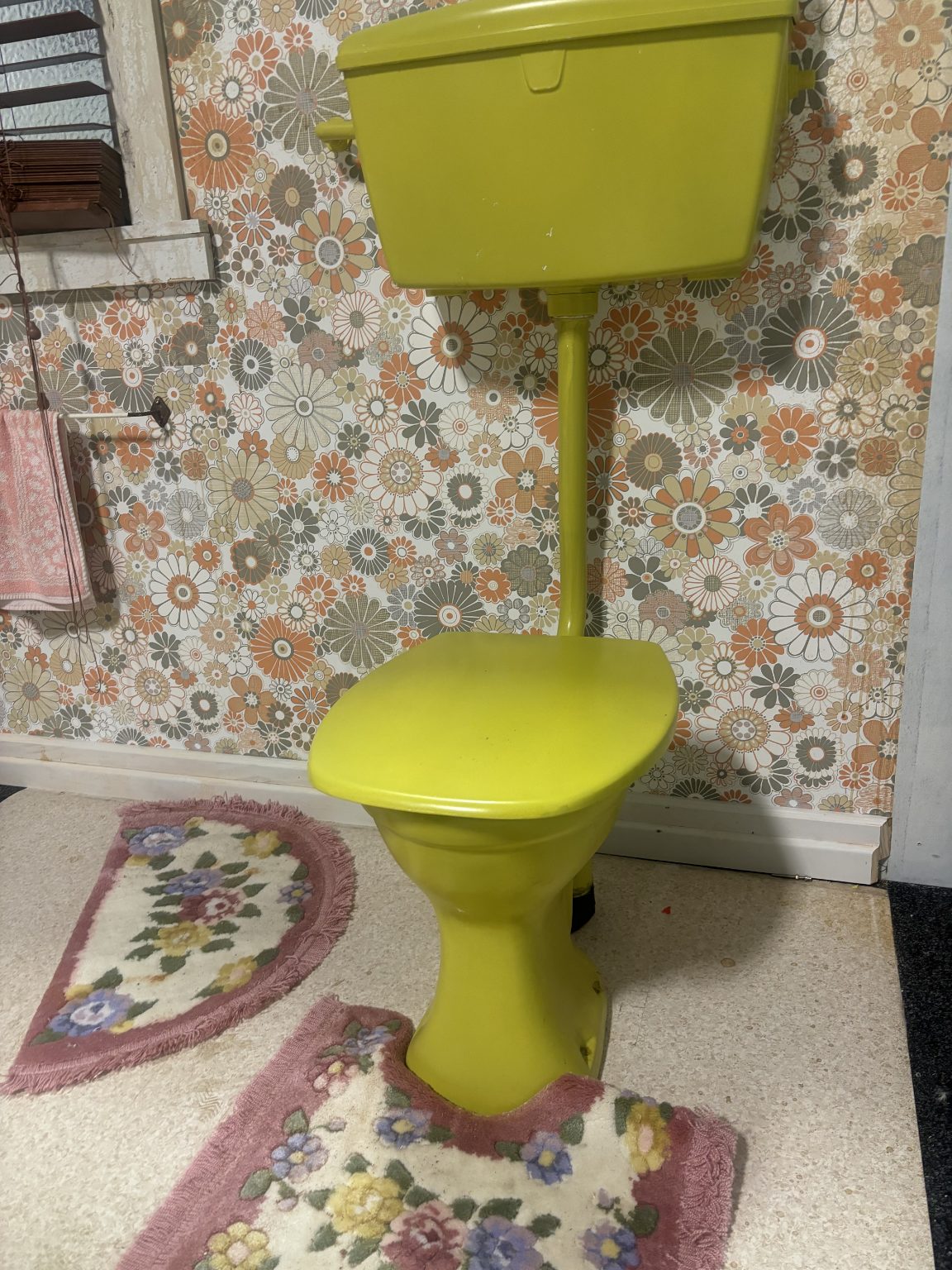 Plugly Toilet