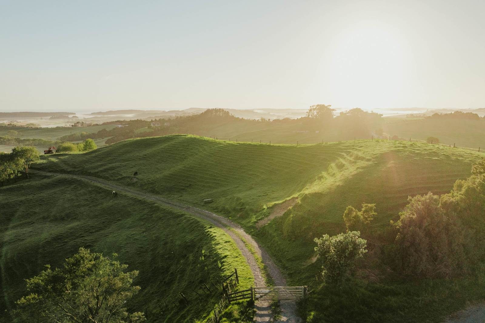Te Arai Point legacy — slide 25