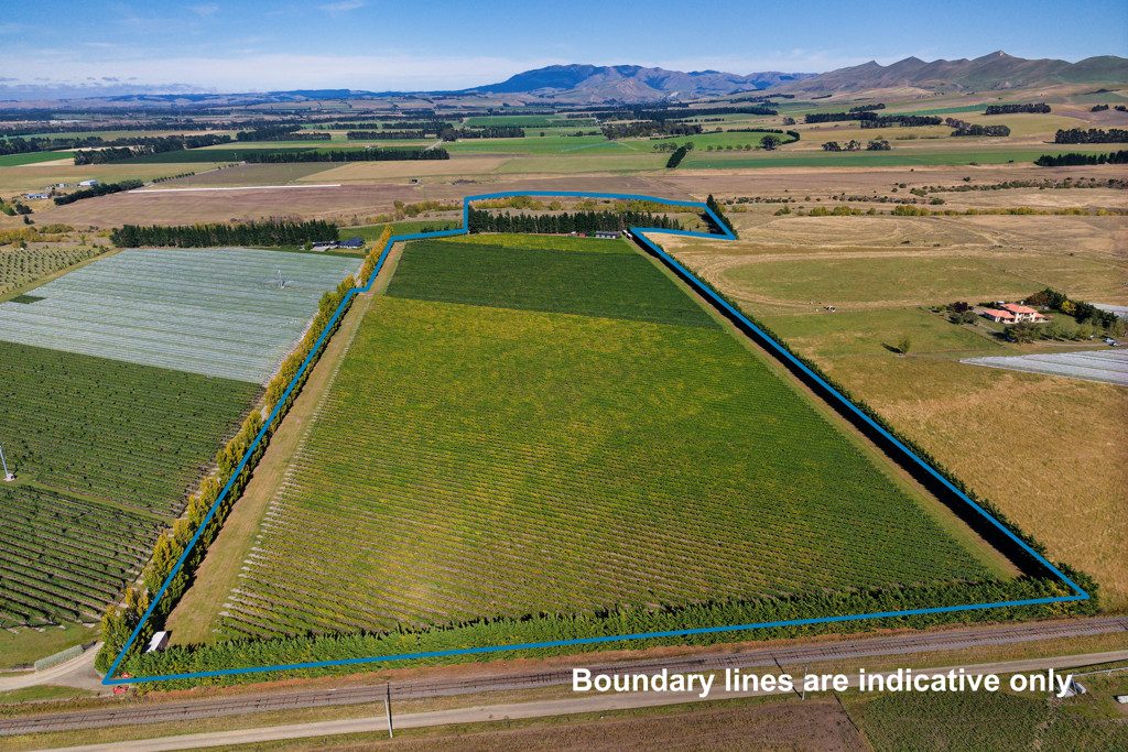 Waipara Vineyard Lifestyle — slide 1