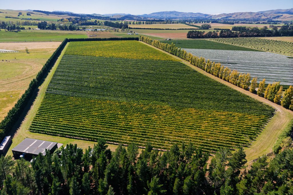 Waipara Vineyard Lifestyle — slide 2