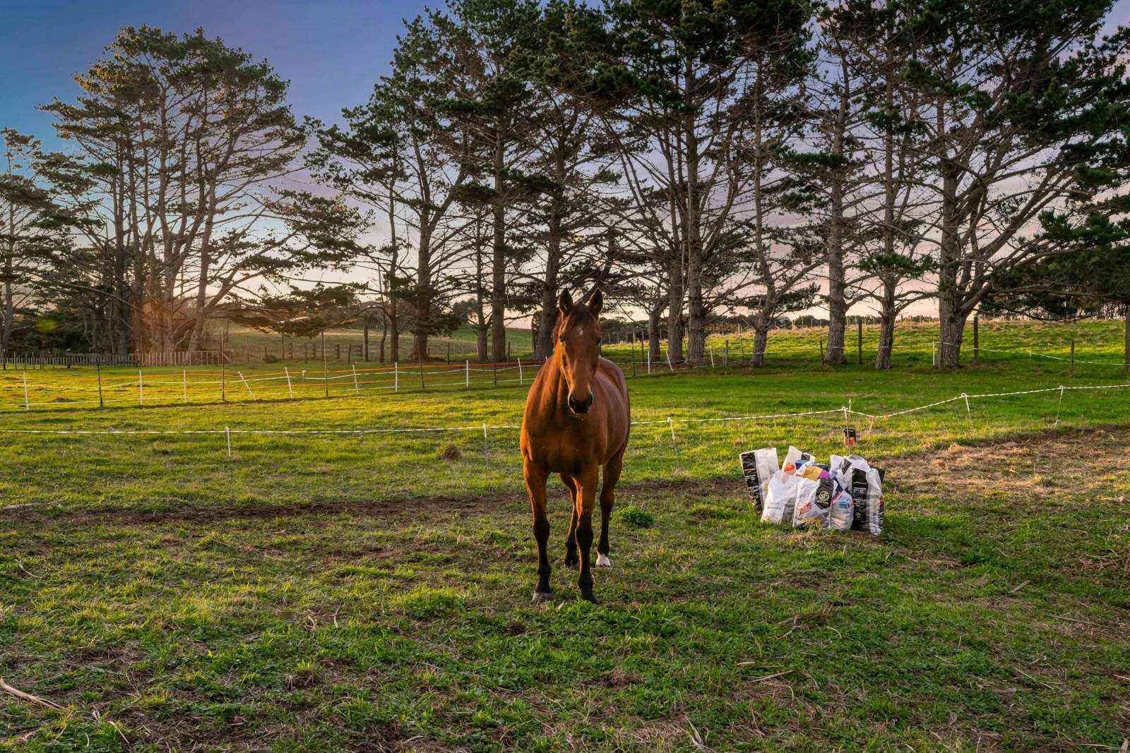 The dream isn't more land – it's more life. — slide 23