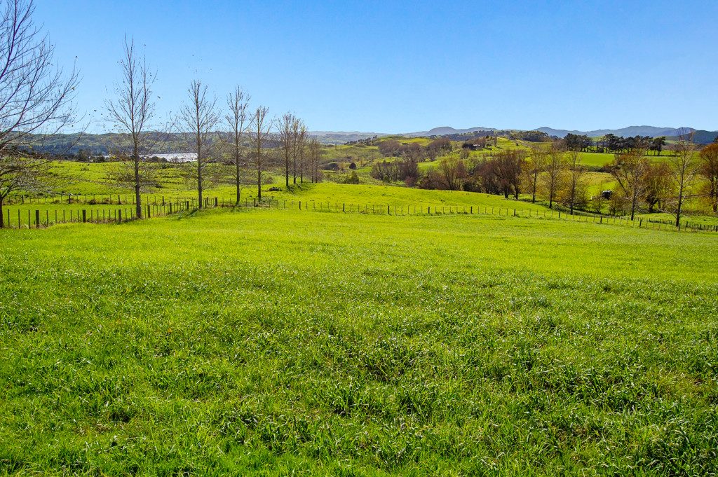 Prime Peninsula Acreage with Water Access Nearby — slide 2