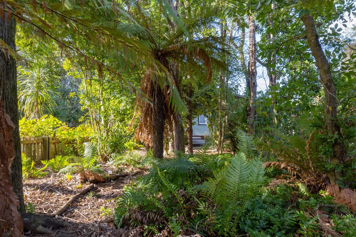 Bush Retreat Near the Tongariro River — slide 17