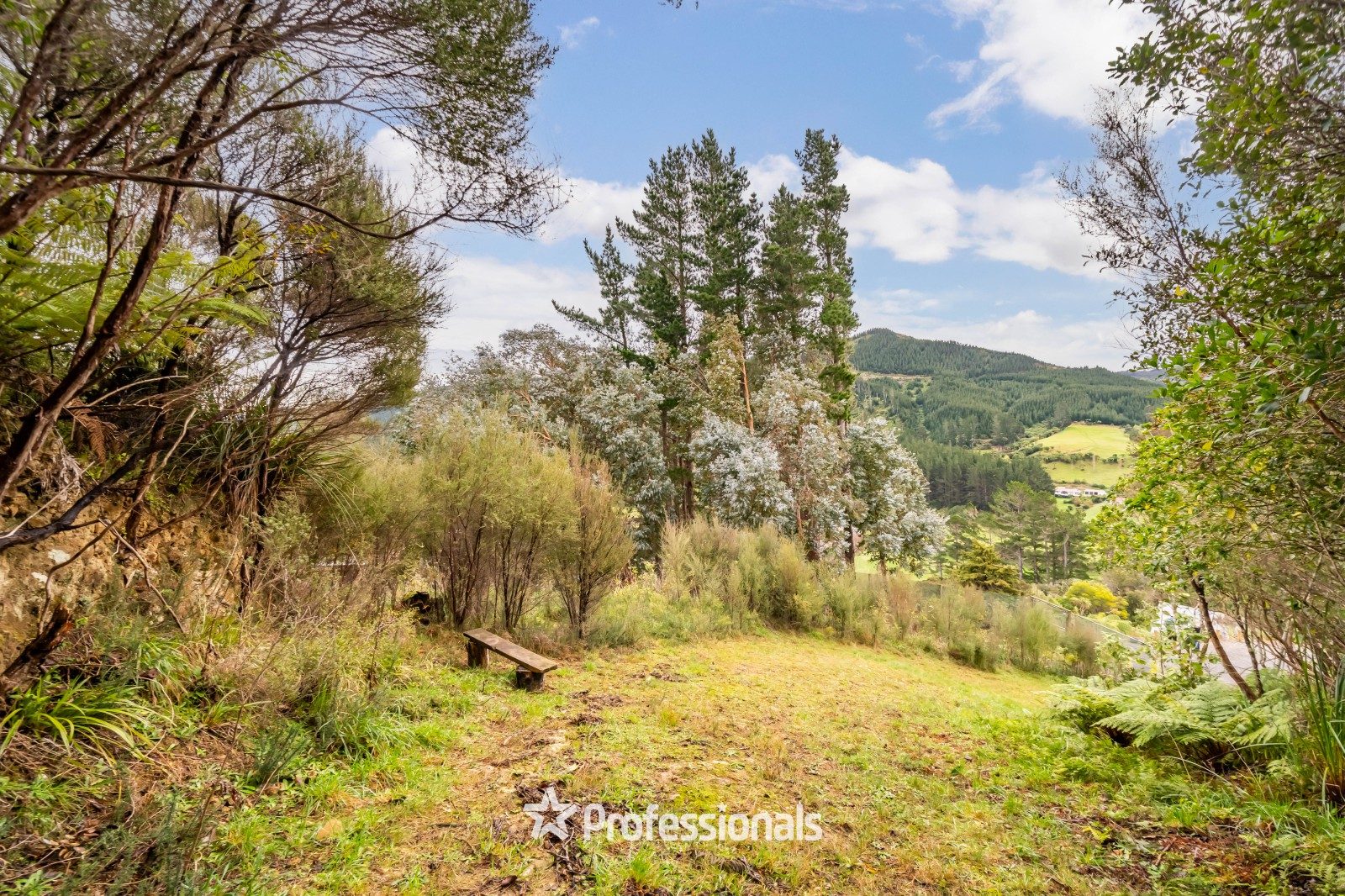Looking For Land with NO Building Covenants? — slide 2