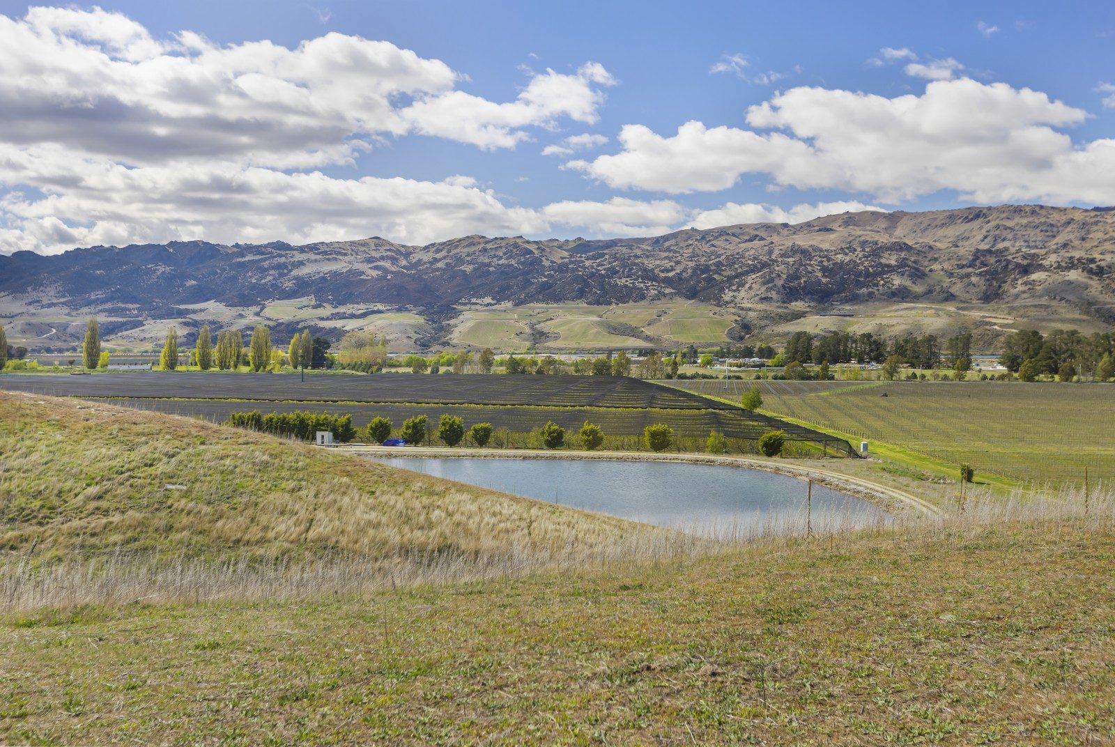 Central Otago Lifestyle & Investment Opportunity — slide 2