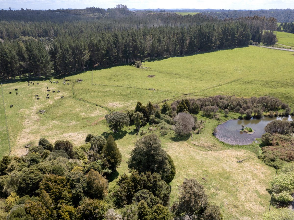A Prime Bush Block Opportunity in Ruapehu — slide 20