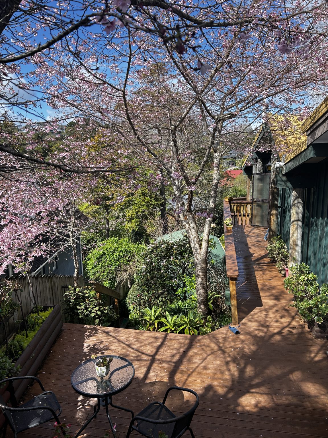 Home Breathes with Nature – Macleans Zone — slide 29