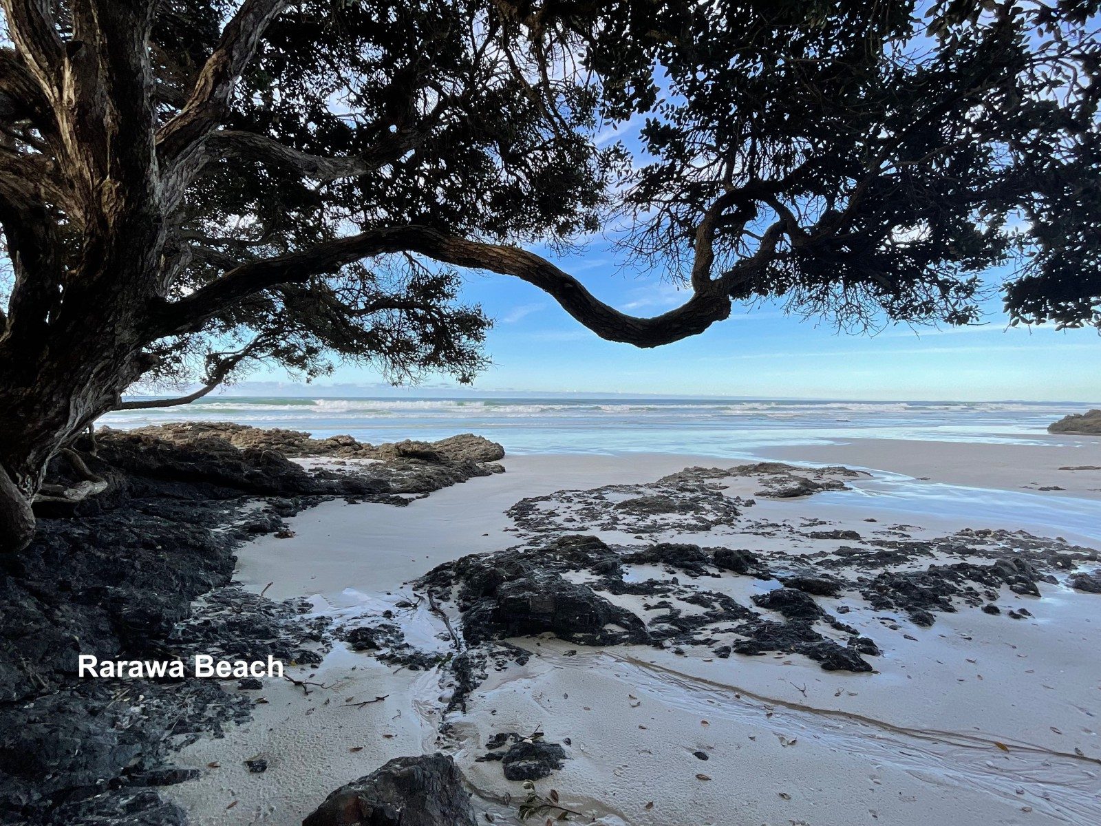 Homegrown Days & Ocean Ways - Live it... — slide 31