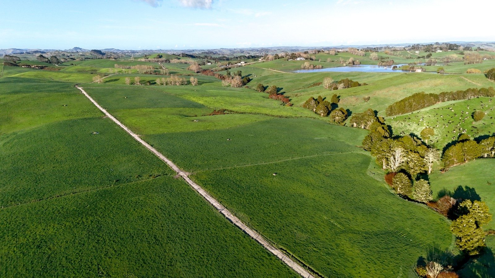 Exceptional Dairy Opportunity in Tomarata — slide 2