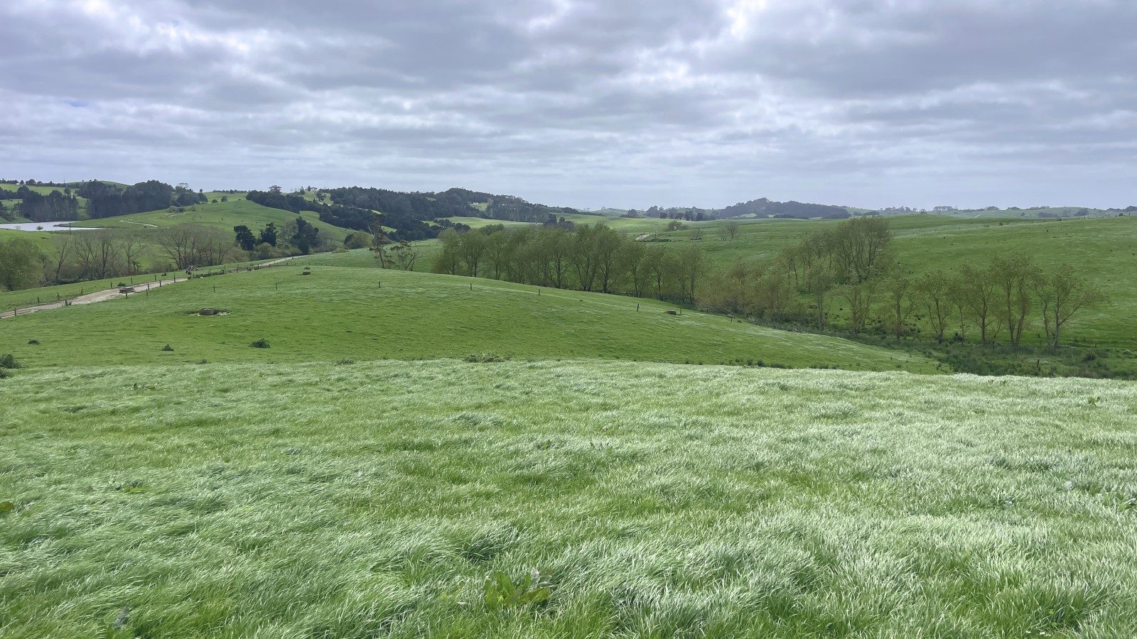Exceptional Dairy Opportunity in Tomarata — slide 20