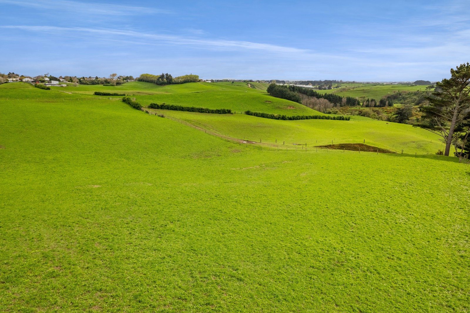 Lifestyle & Grazing in the Heart of Hawera — slide 7