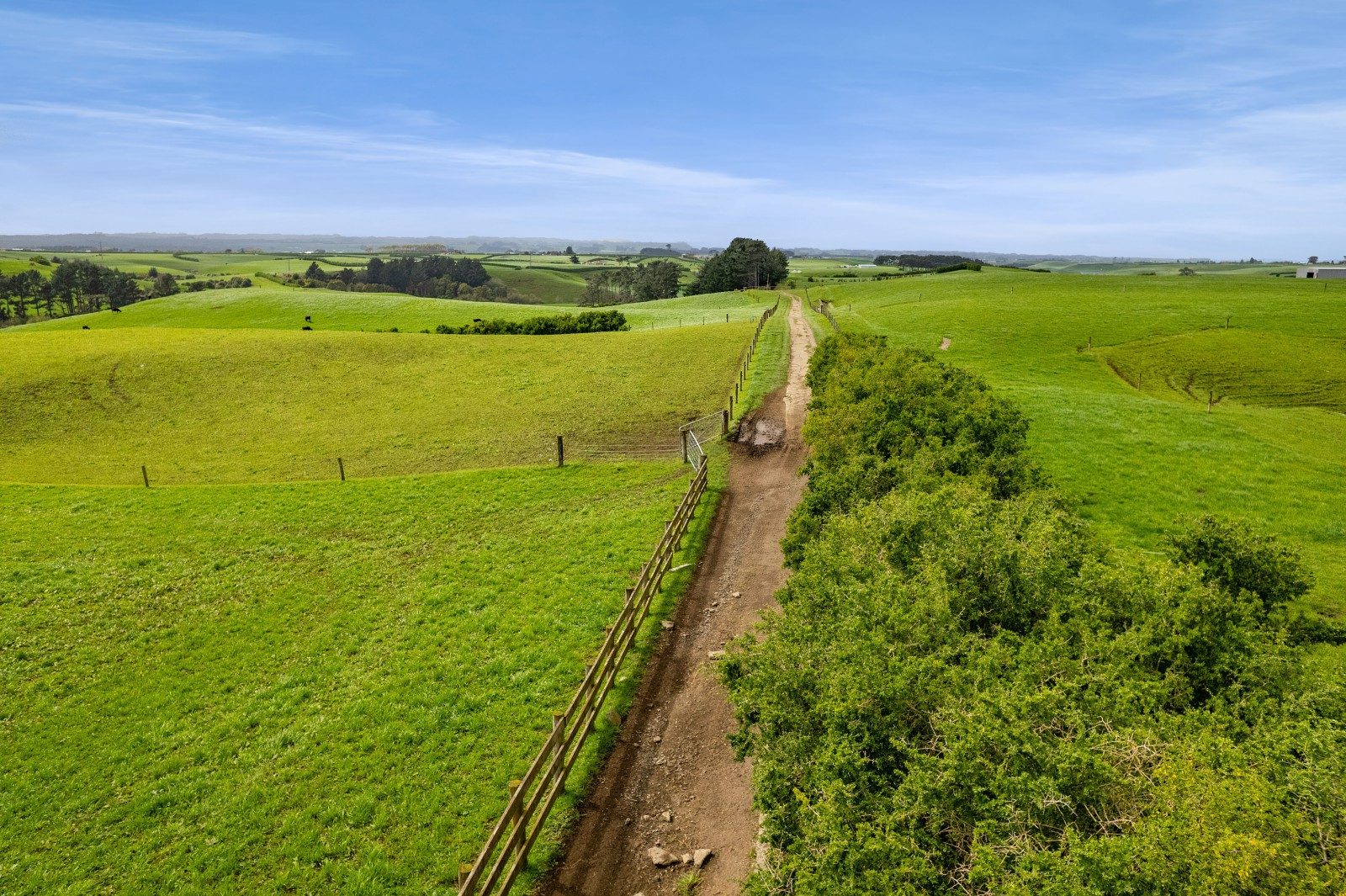 Lifestyle & Grazing in the Heart of Hawera — slide 21