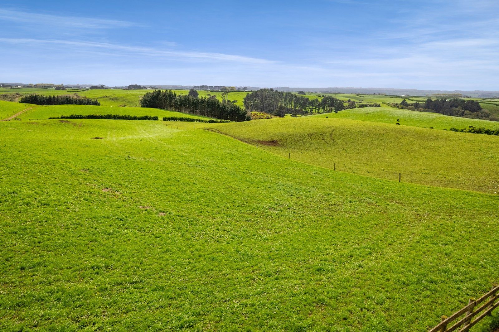 Lifestyle & Grazing in the Heart of Hawera — slide 22