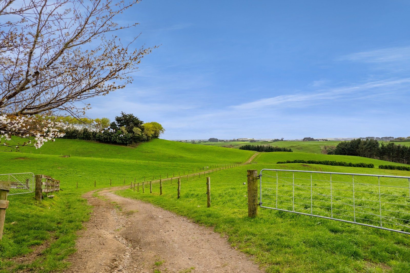 Lifestyle & Grazing in the Heart of Hawera — slide 23