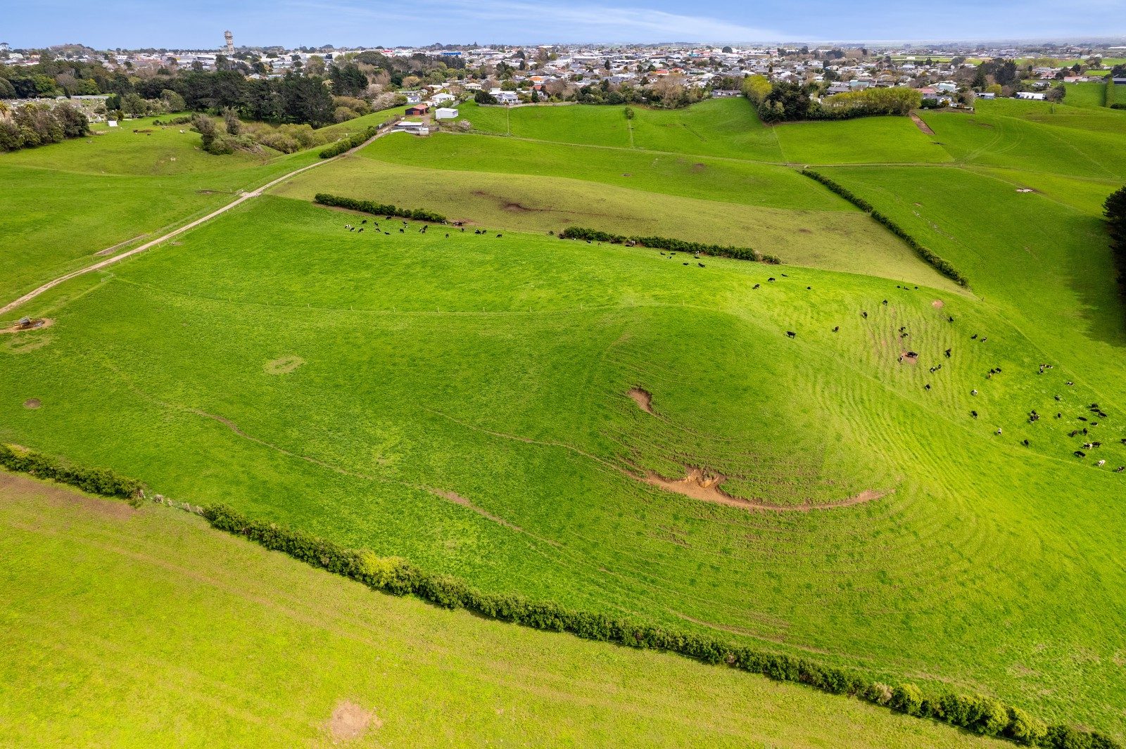 Lifestyle & Grazing in the Heart of Hawera — slide 24