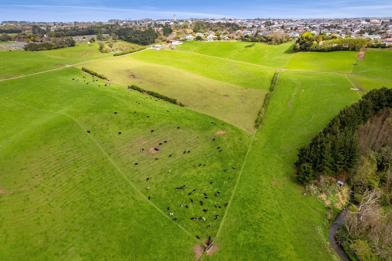 Lifestyle & Grazing in the Heart of Hawera — slide 25