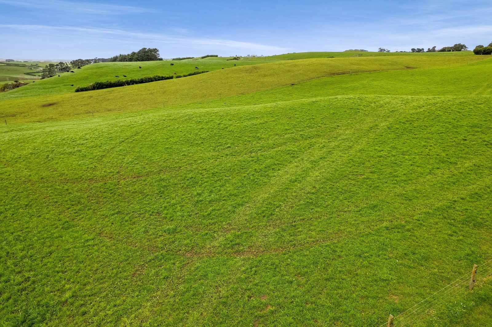 Lifestyle & Grazing in the Heart of Hawera — slide 26