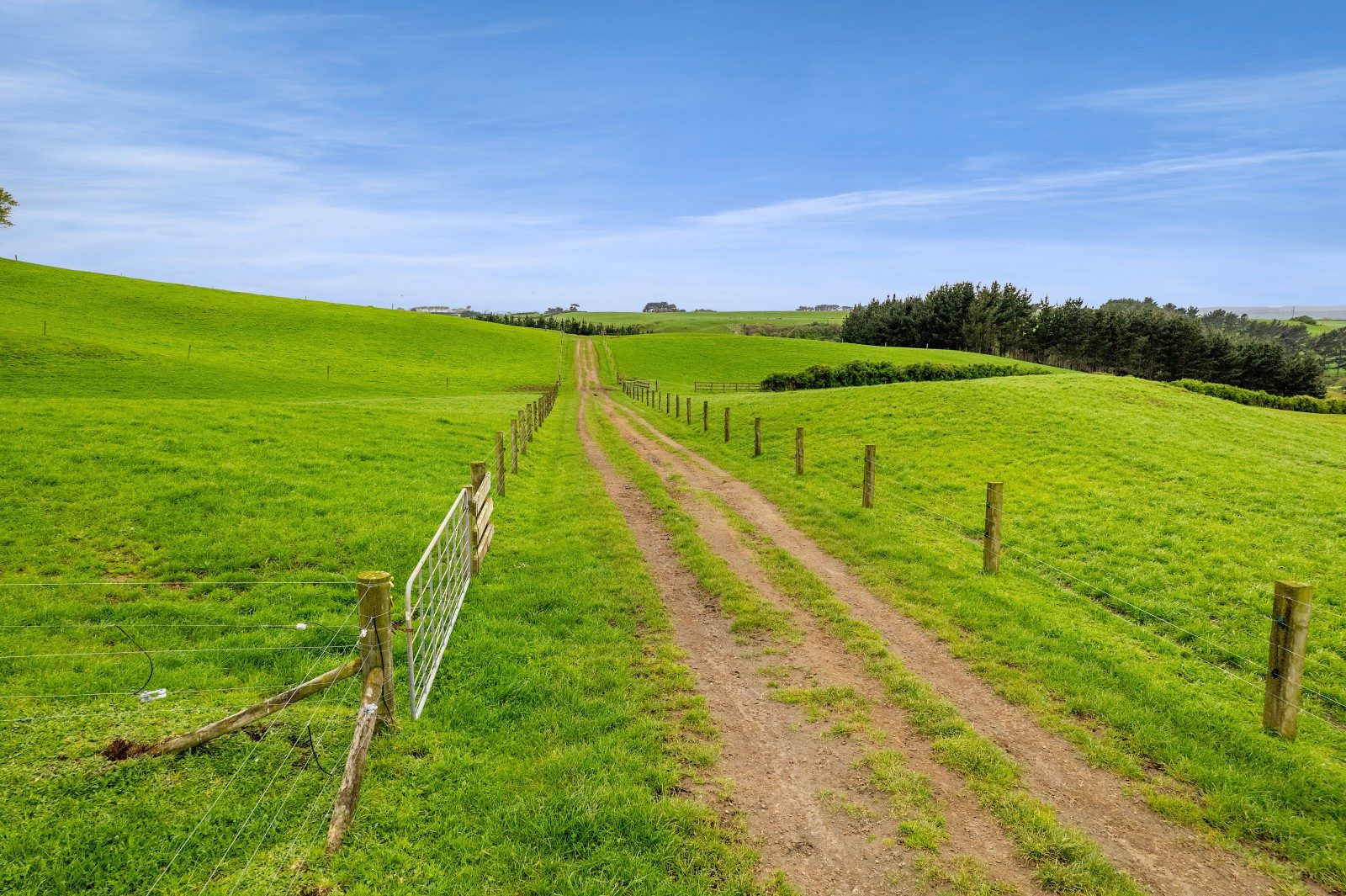 Lifestyle & Grazing in the Heart of Hawera — slide 28