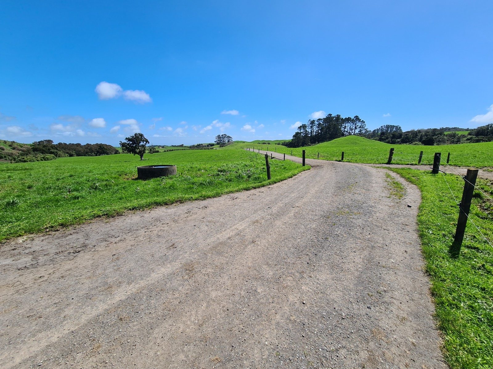 Scale and Potential on Carrington Road — slide 1