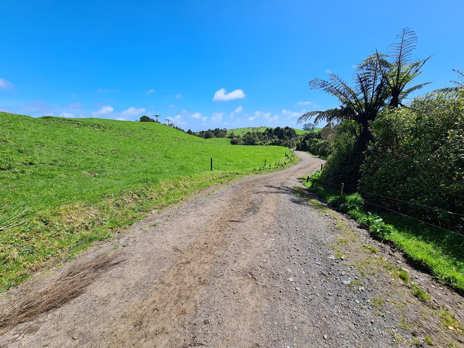 Scale and Potential on Carrington Road — slide 6