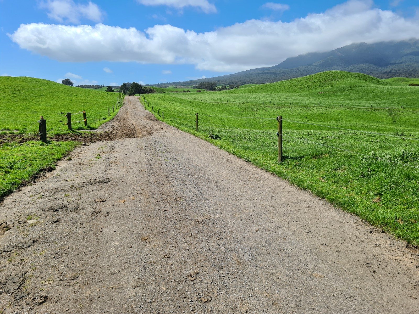 Scale and Potential on Carrington Road — slide 7