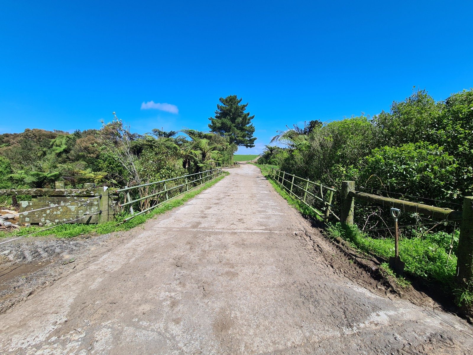 Scale and Potential on Carrington Road — slide 8