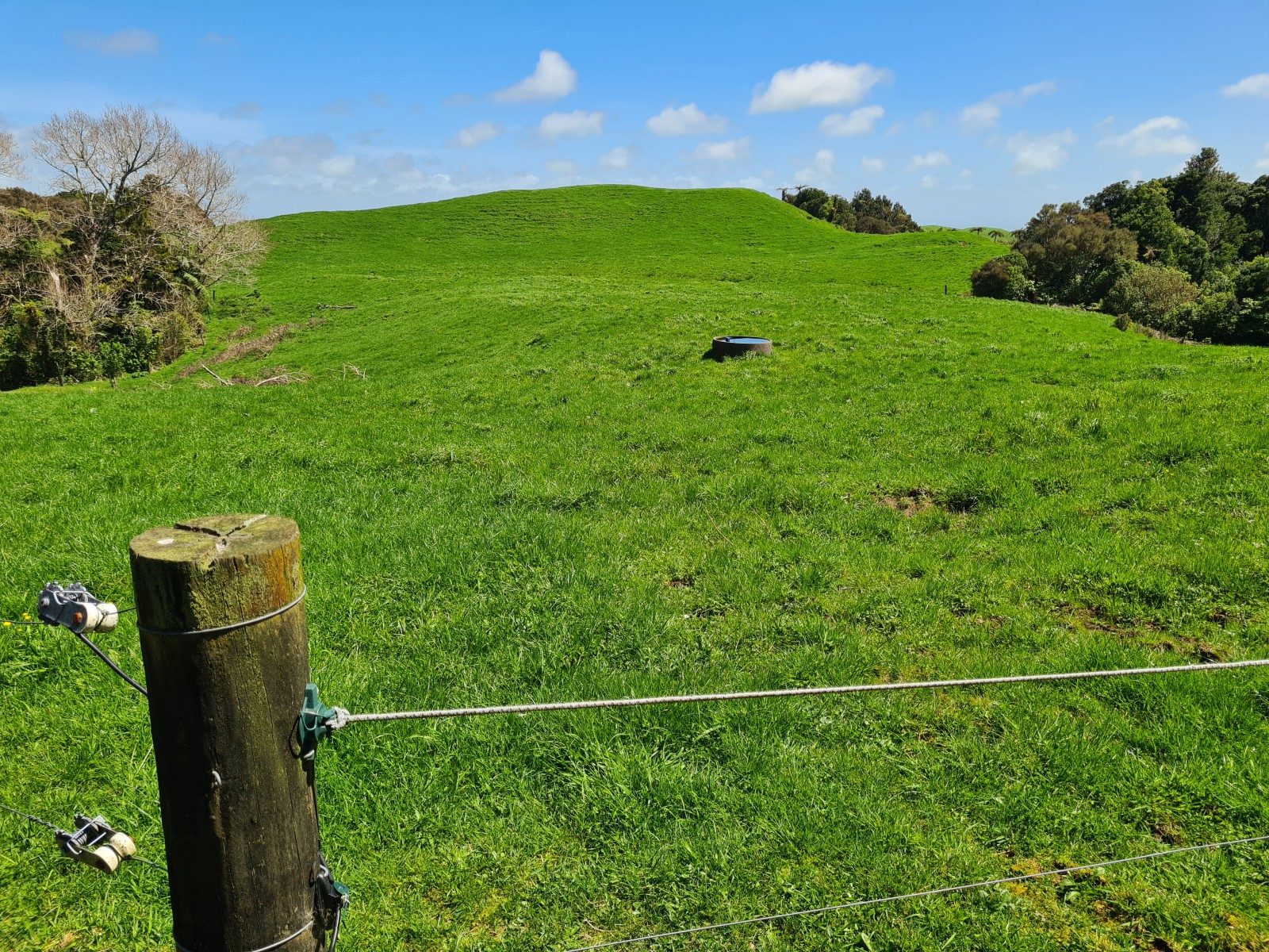Scale and Potential on Carrington Road — slide 9