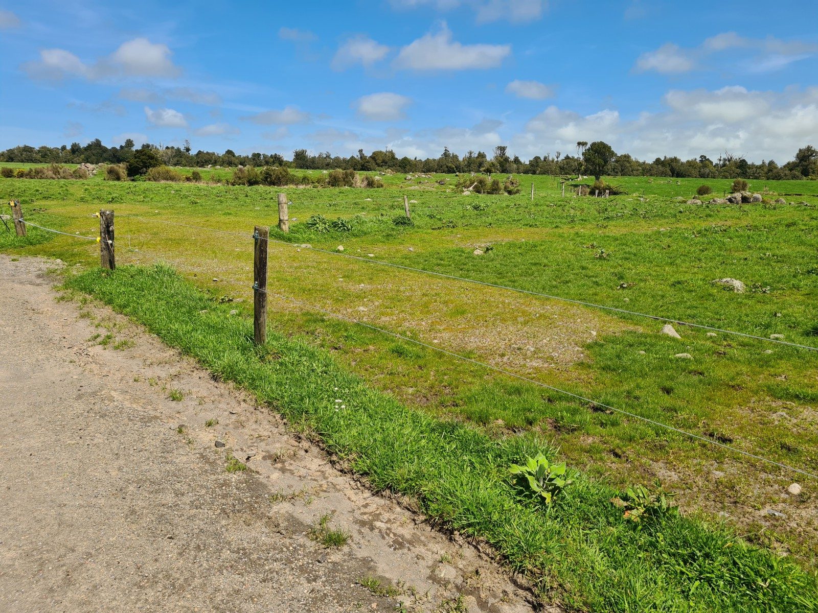 Scale and Potential on Carrington Road — slide 19
