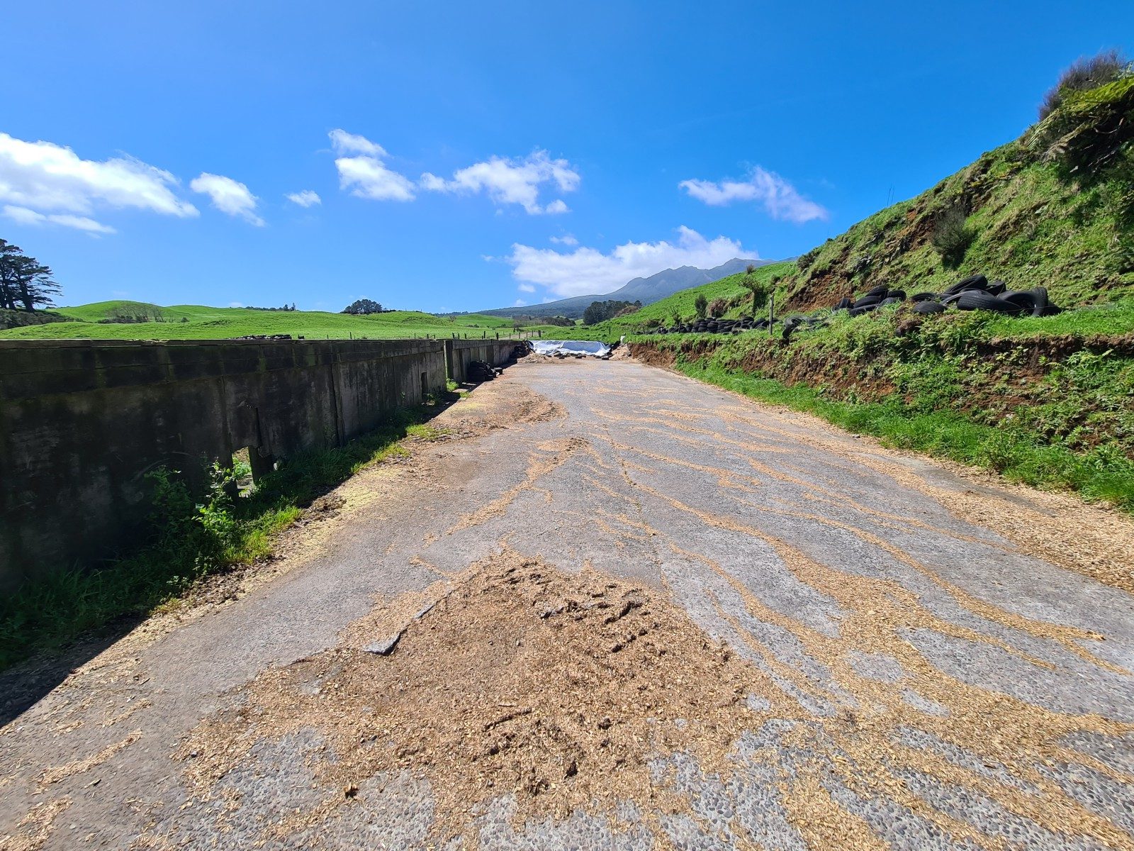 Scale and Potential on Carrington Road — slide 20