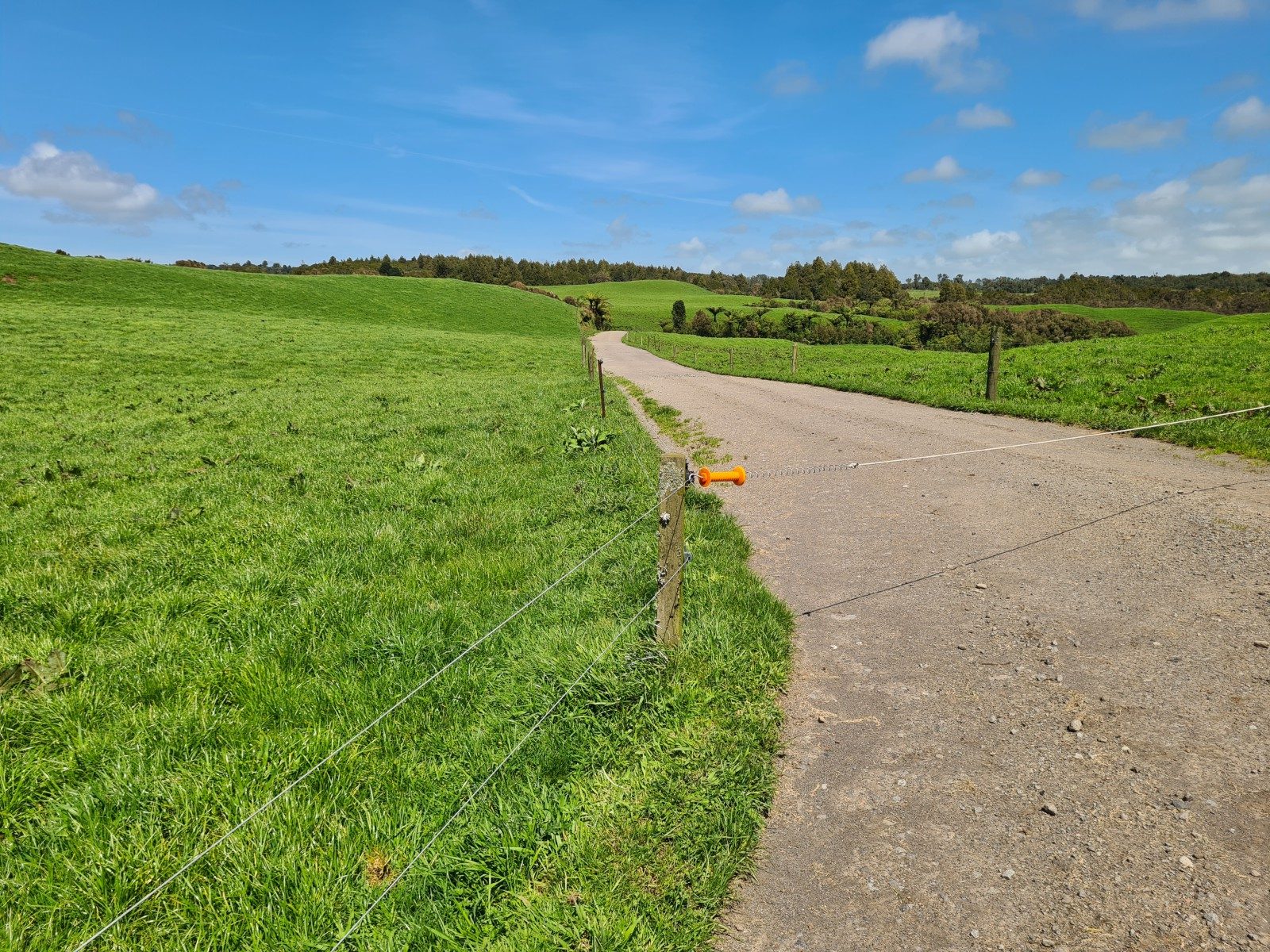 Scale and Potential on Carrington Road — slide 29